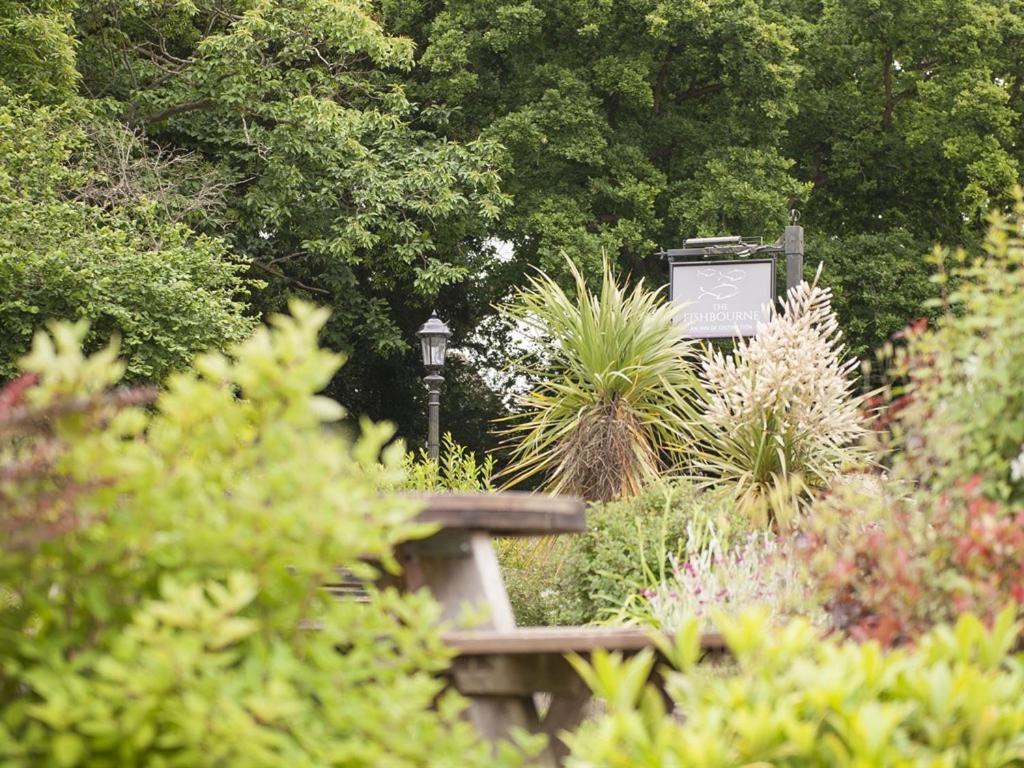 Bed and Breakfast The Fishbourne Fishbourne  Esterno foto